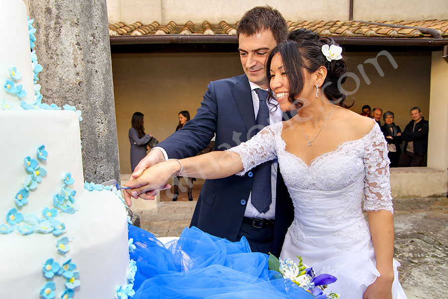 Newlyweds cutting the cake