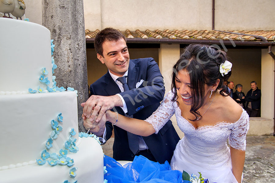 Bride and groom having a hard time cutting the cake 