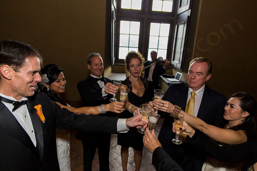 A wedding toast with all the guests 