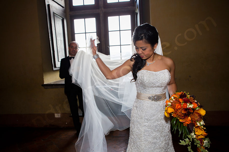 The bride photographed with her wedding dress