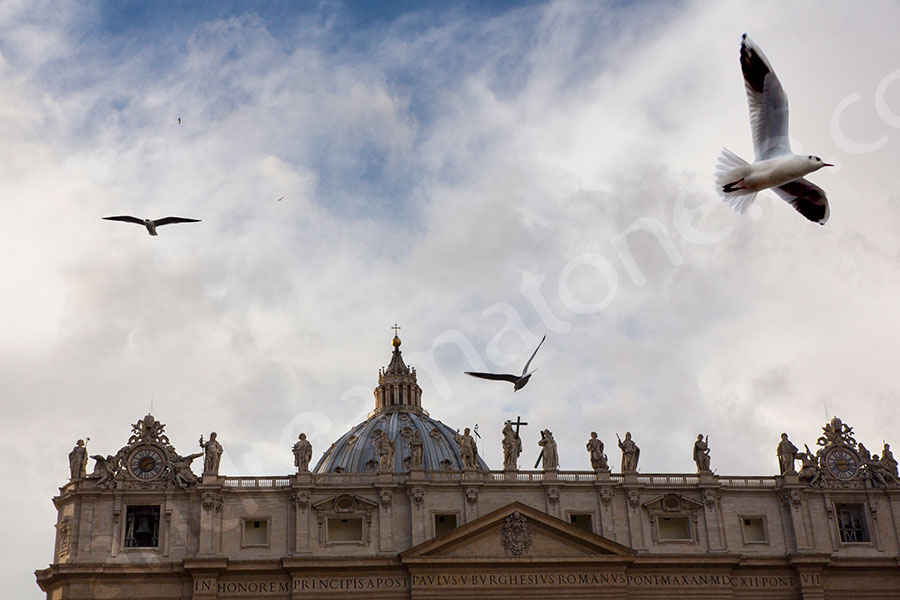 Birds flying in the air at Saint Peter's square 