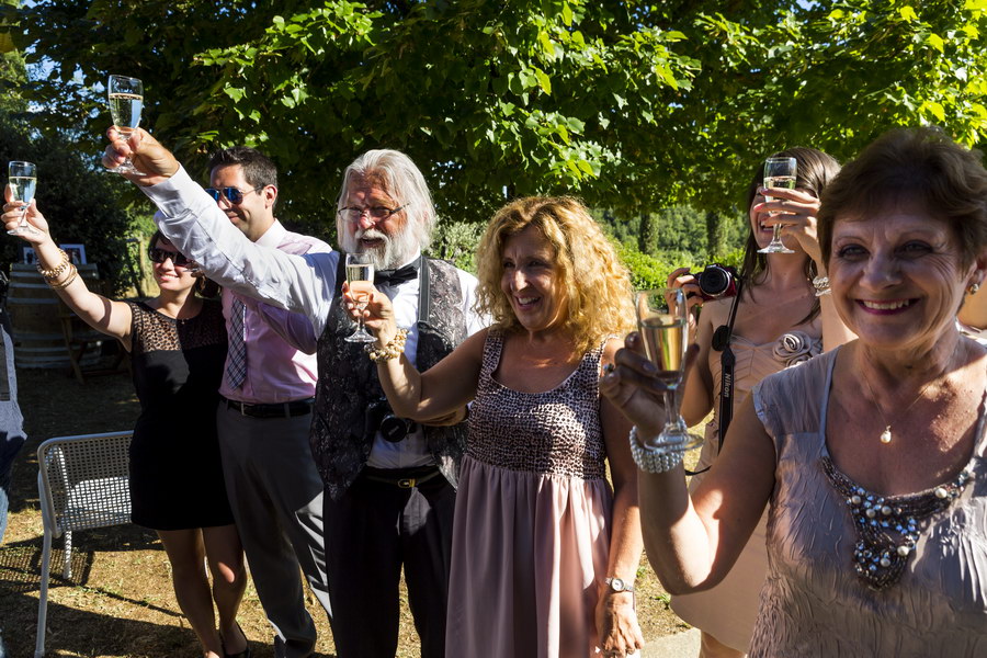 Guests toasting