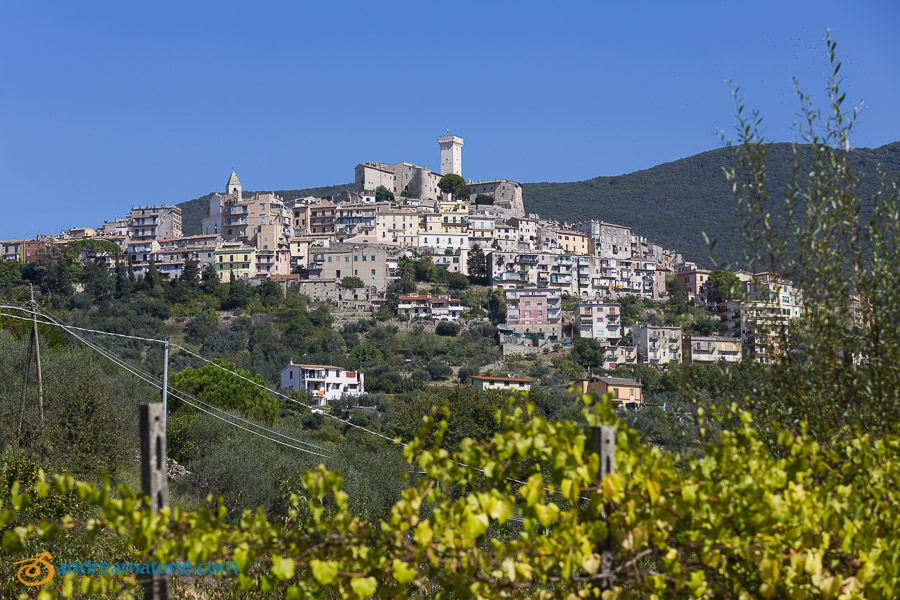 The town of Palombara Sabina in Italy seen from a distance