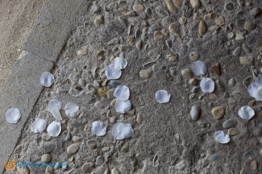 Petals on the ground before the wedding.