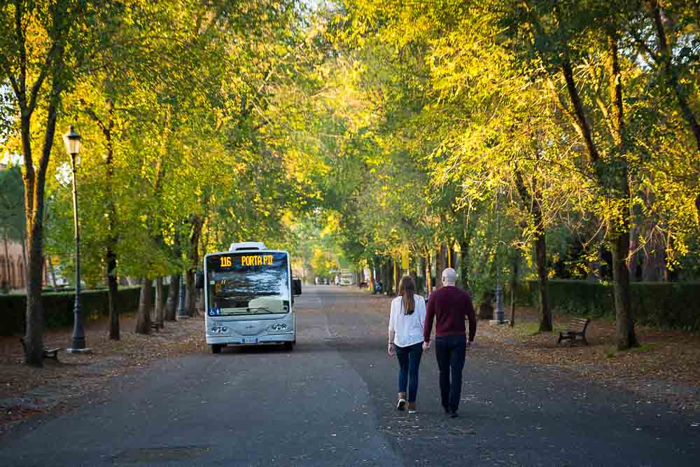 Couple walking away in the distance in a park.