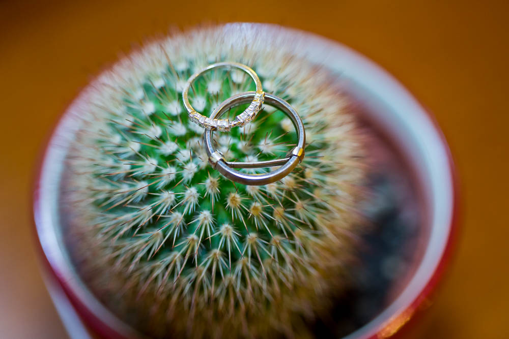 Wedding rings macro on porcupine