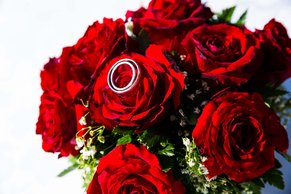 Close up macro photo of wedding rings on red roses