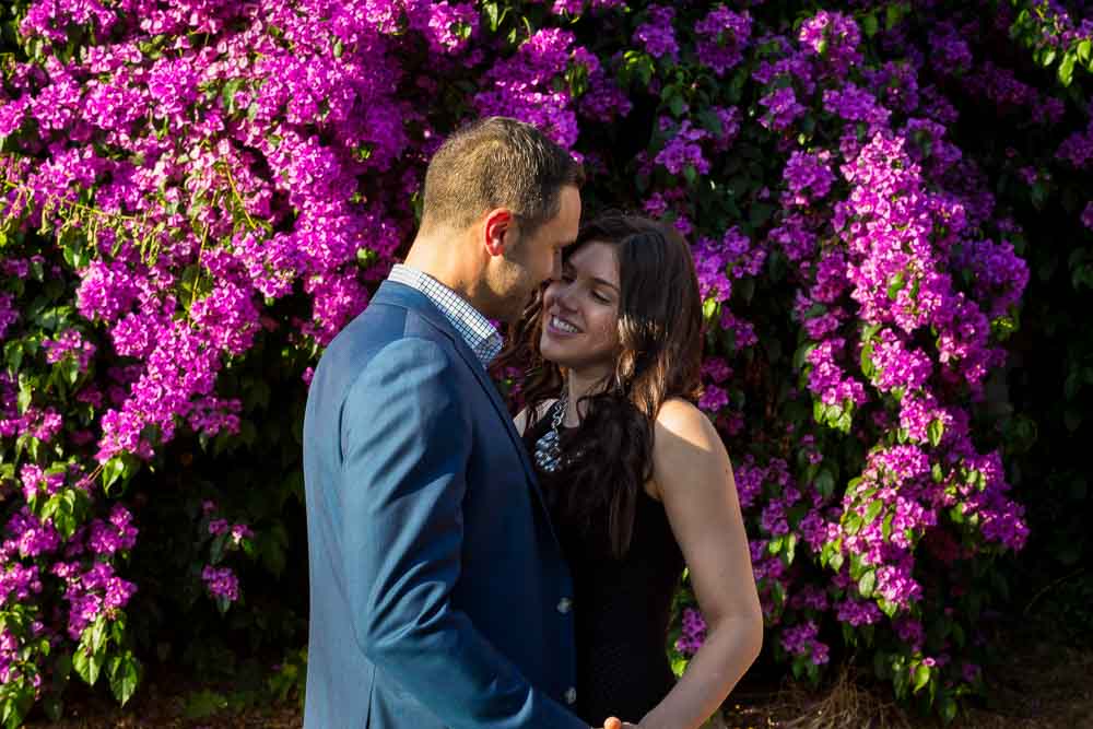 Couple photographed by bougainvillea flowers plants