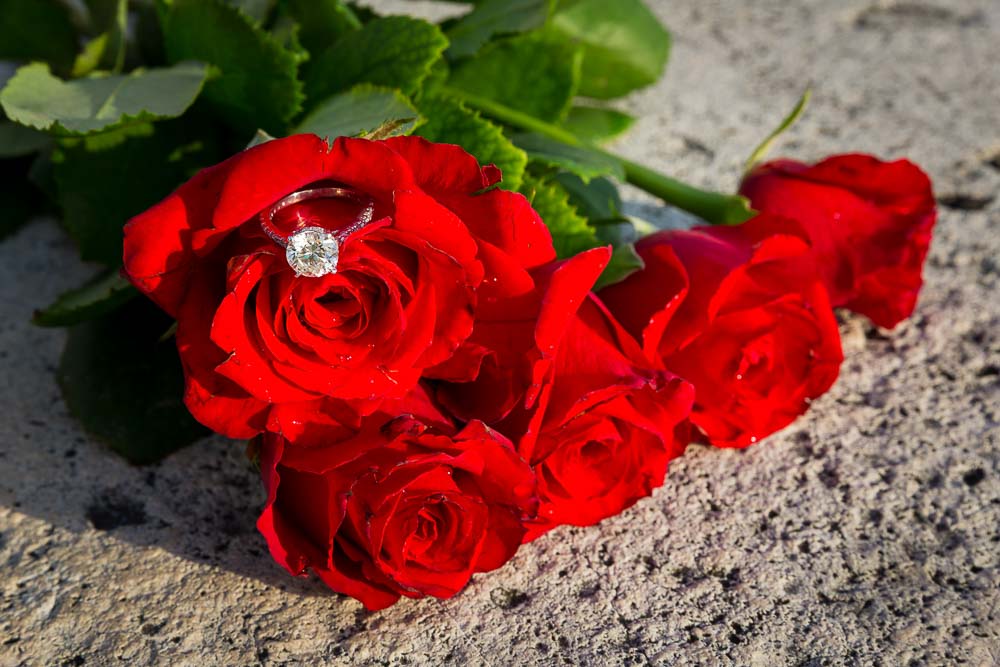 5 bright red roses with engagement ring