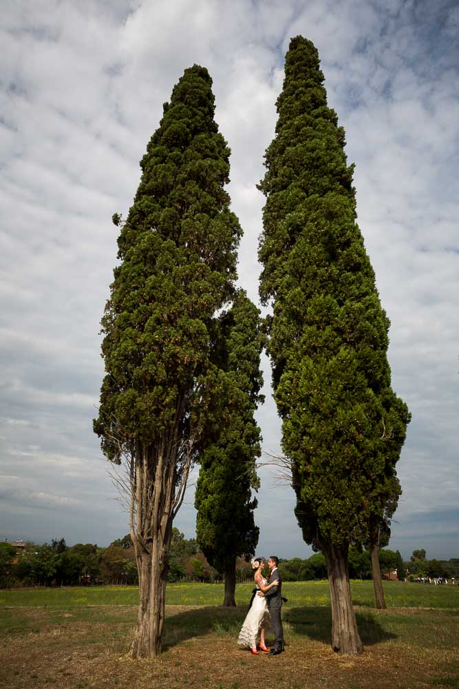 The symbolic marriage ceremony in between cypress trees in a park