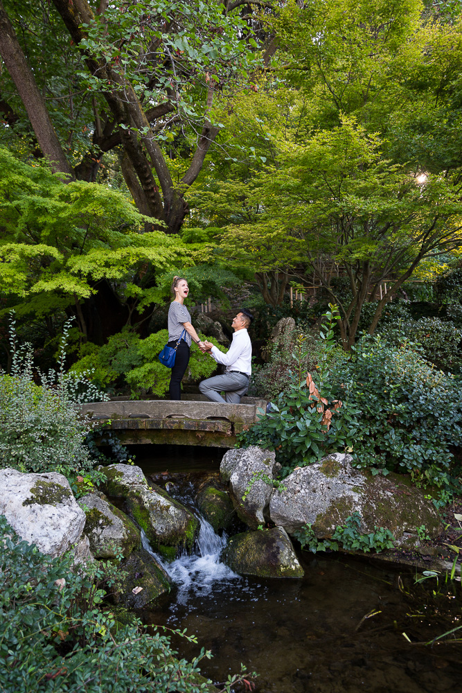 Asking for marriage. Parco Orto Botanico. Roma.