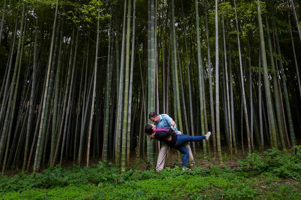 Bamboo forest dip