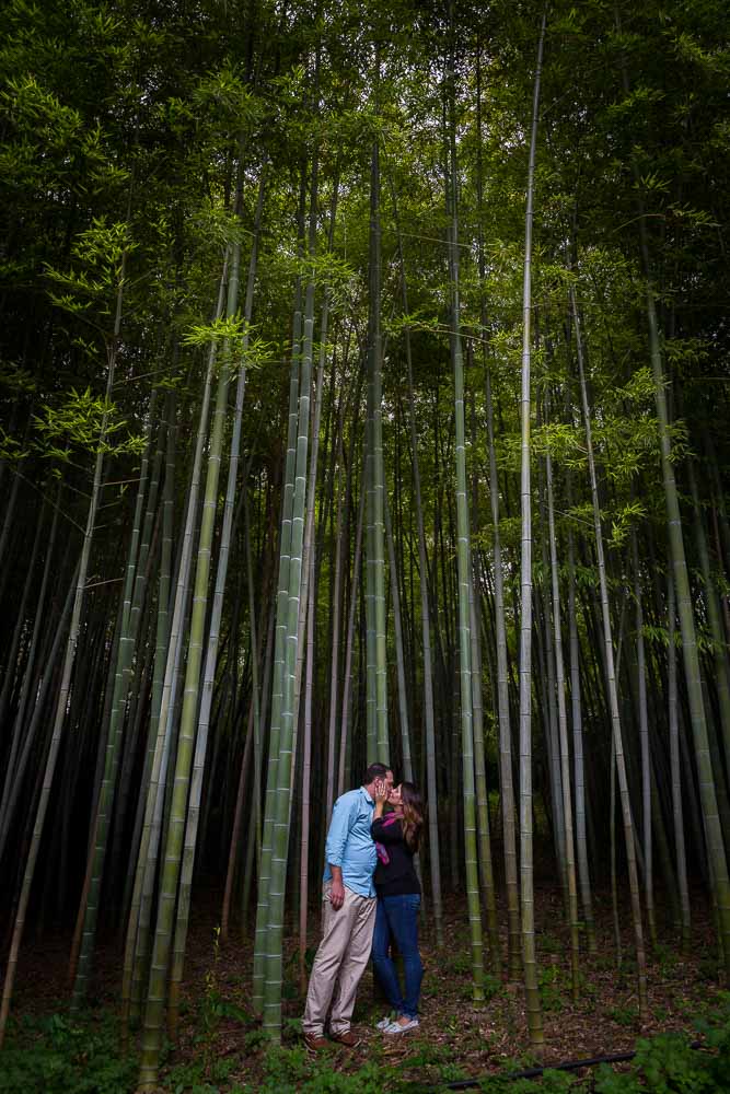 Asking the question in a beautiful Japanese park
