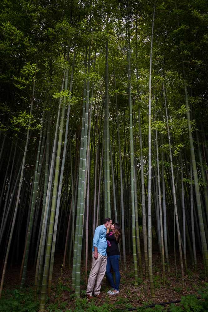 Portrait session by the bamboo forest