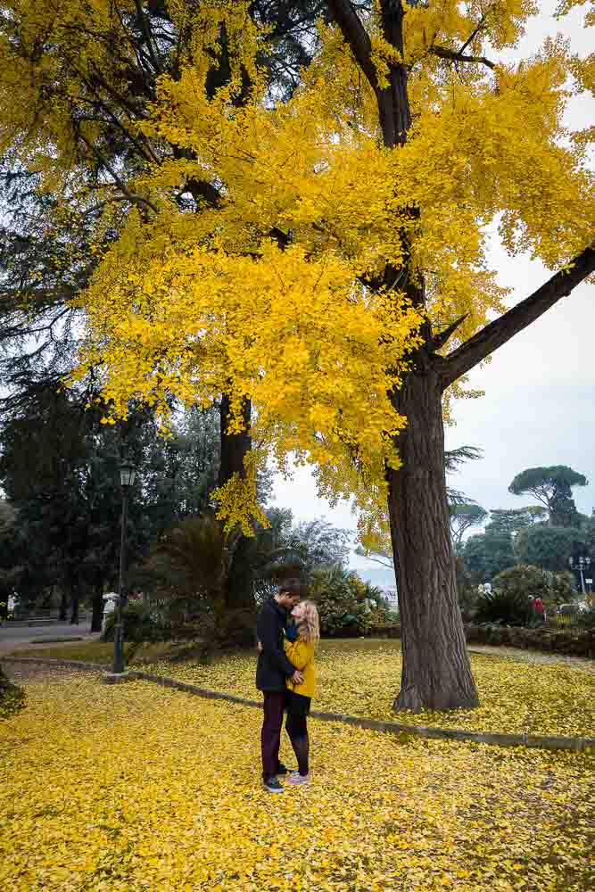 Engagement session under a yellow autumn tree