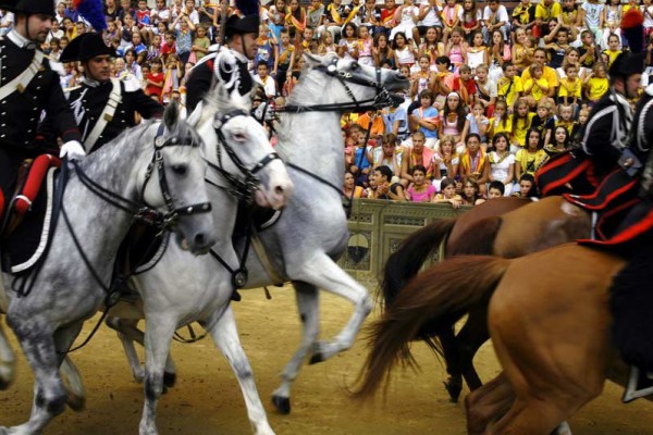 Palio di Siena. Horse race details.