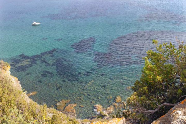 Elba island coastal view