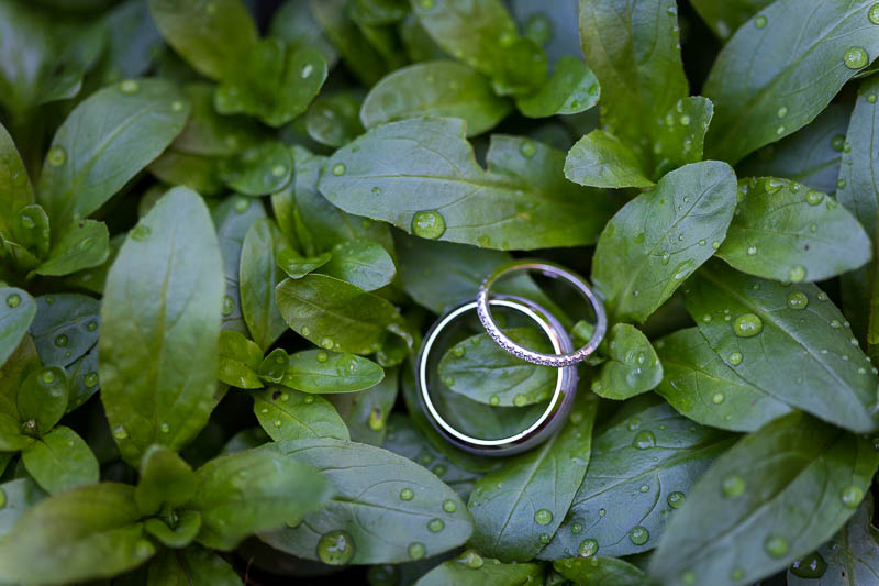 Wedding rings photographed on green plants