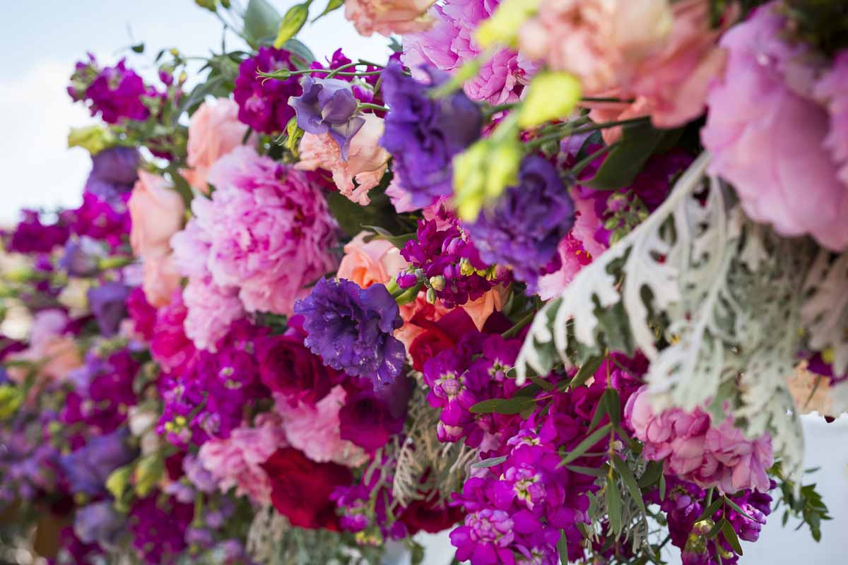 Flowers close-up