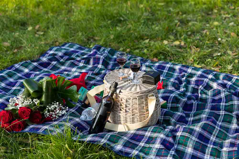 The picnic basket. Romantic picnic proposal