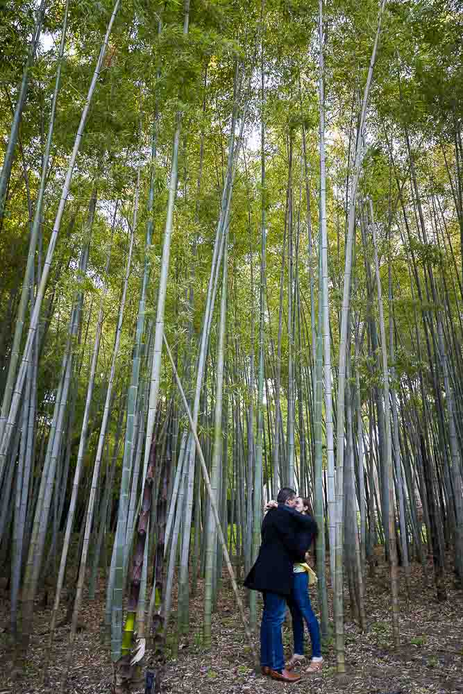 Bamboo forest in love portrait