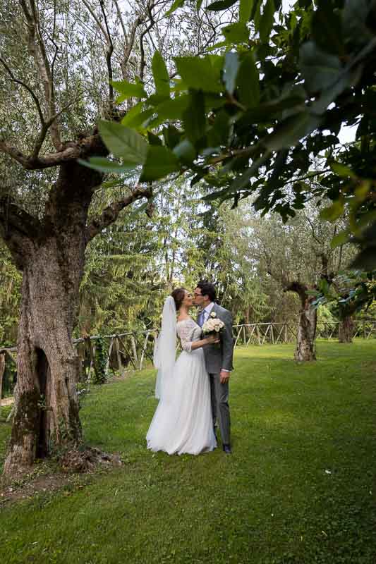 Just married photos in the gardens with olive trees