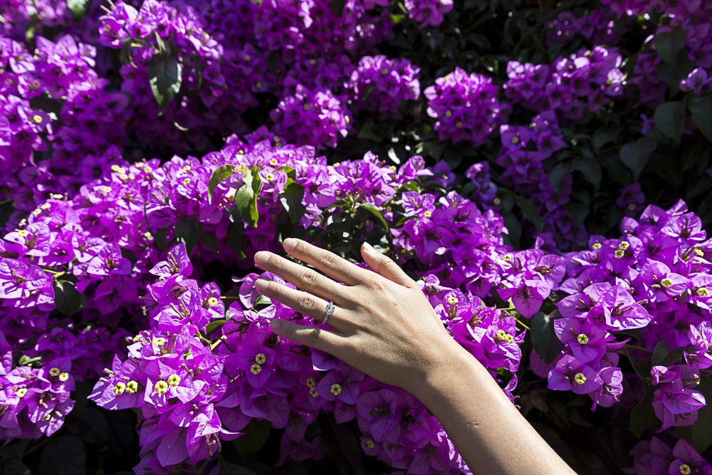 Engagement ring image against purple flowers