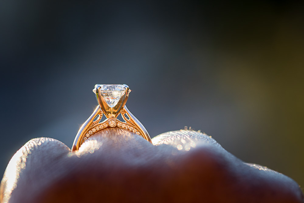 Engagement ring close up