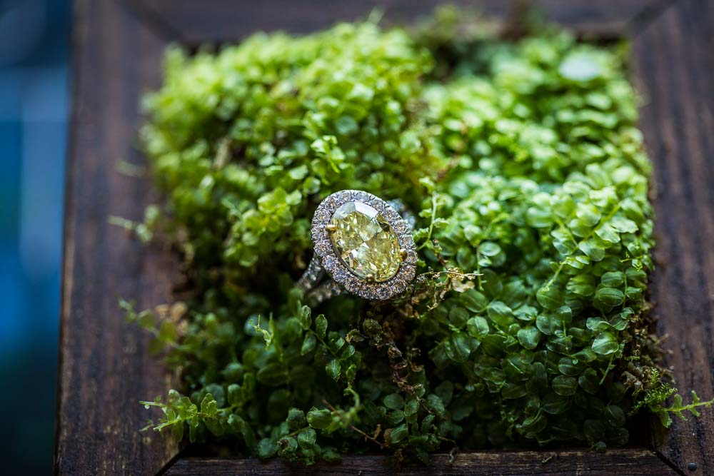 Close up macro image of the wedding ring against green flora background