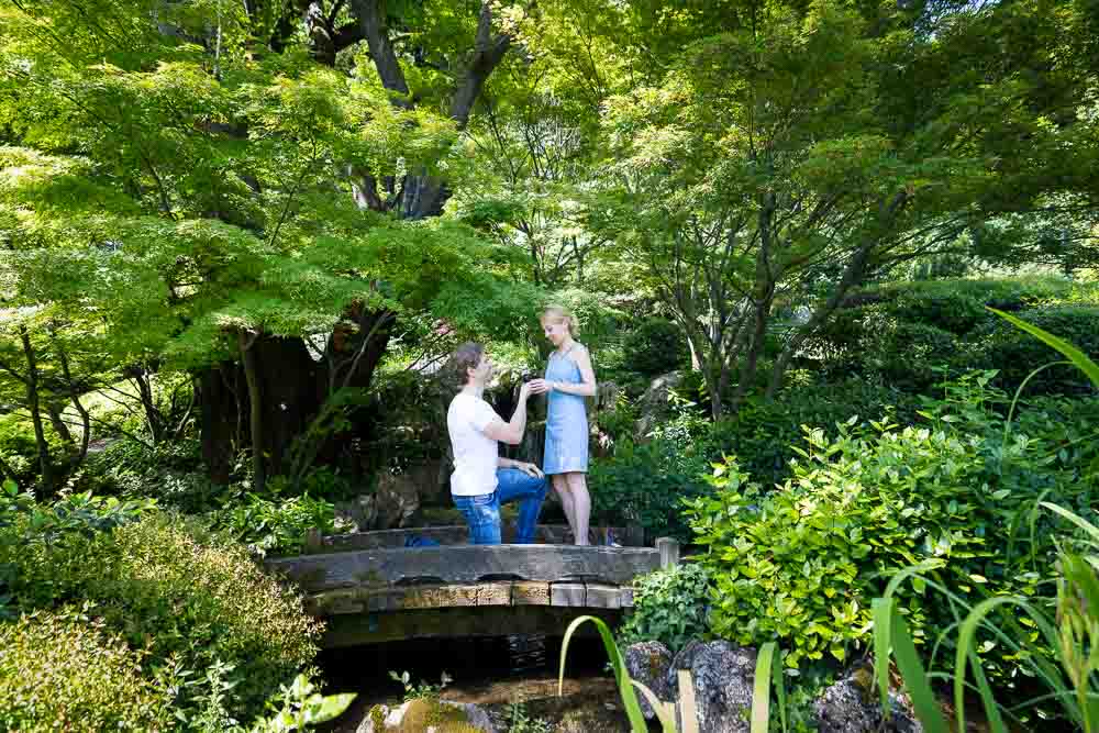 Botanical garden wedding proposal on the small bridge of the Japanese garden