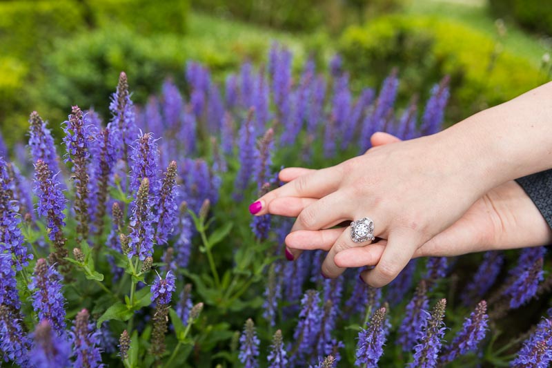 engagement ring close up photographed by lavanda purple flowers