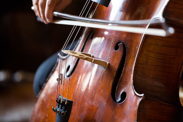 Cello closeup playing classical music