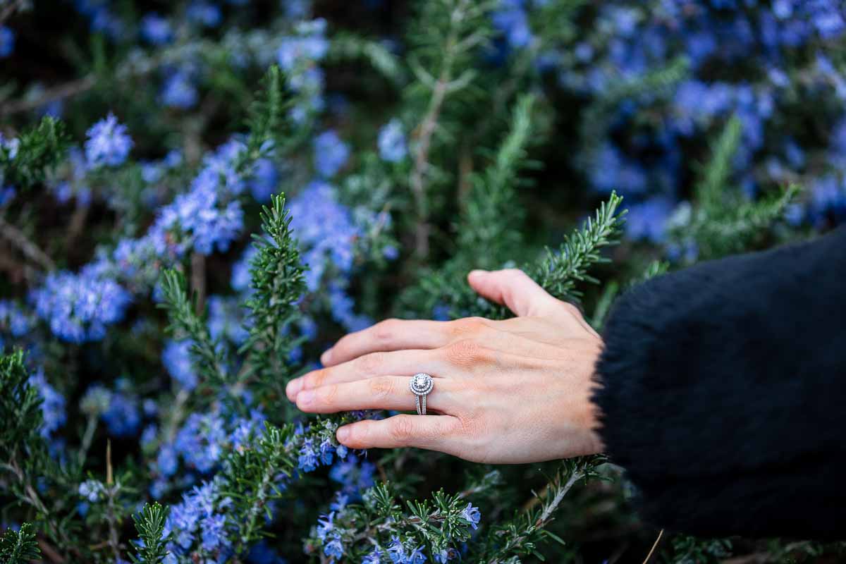 Engagement ring photographed on a hand placed in front of lavanda blue flowers