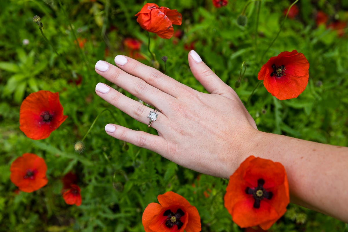 Close up image of the engagement ring photographed among red poppy flowers