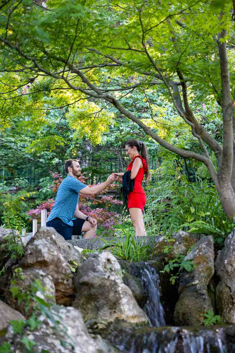 Surprise Wedding Proposal candidly photographed in the Japanese Garden of Rome's Botanical Park