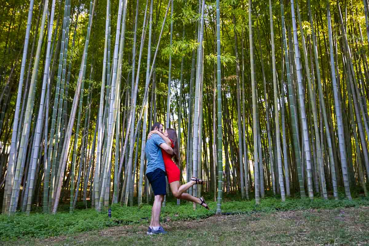 Bamboo forest couple. Love story photo session in a beautiful park