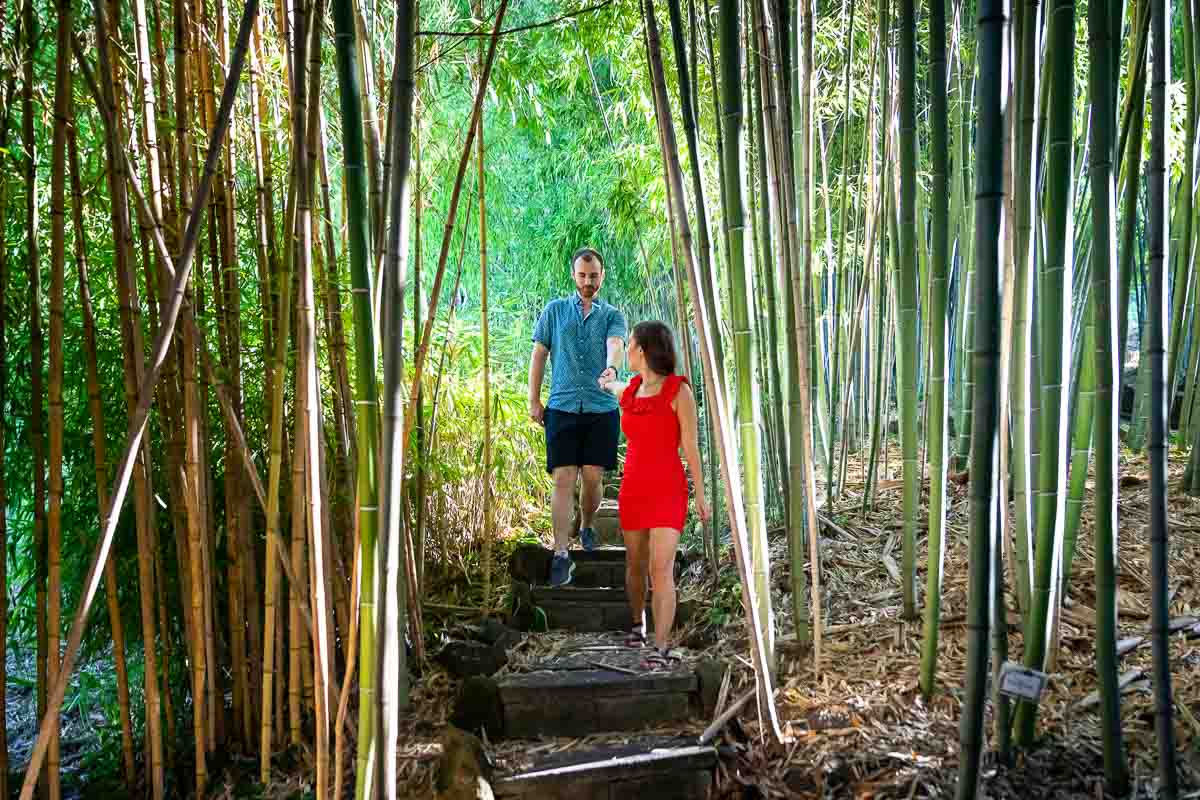 Walking together inside the bamboo forest hand in hand