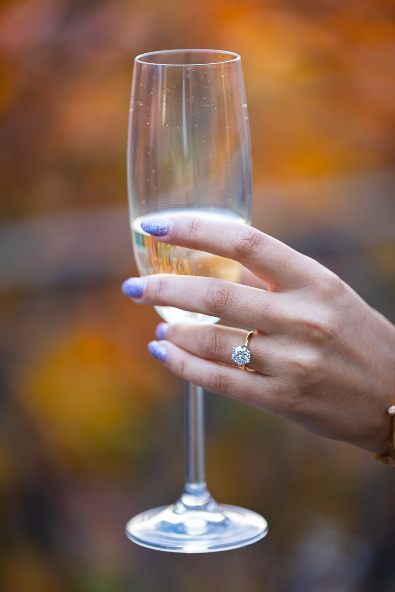 Close up of the engagement ring