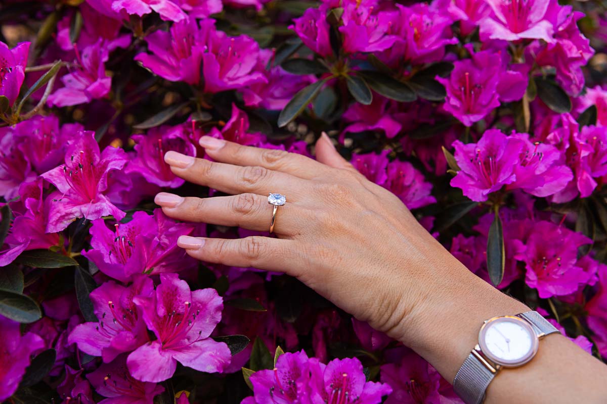 The beautiful wedding engagement ring photographed against purple colorful flowers 