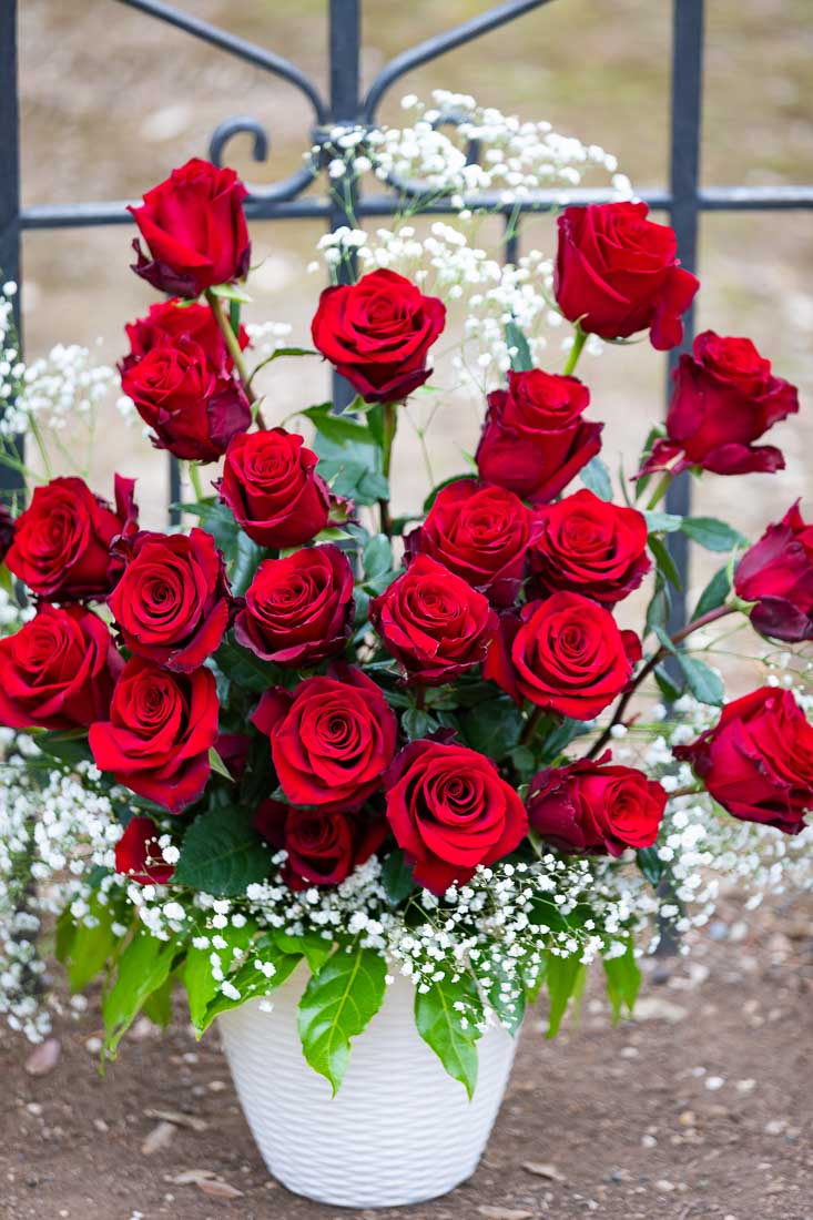 Left side white vase with a bouquet of 25 long stem red roses 