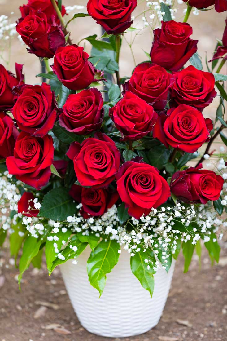 Right side white vase with a bouquet of 25 long stem red roses 