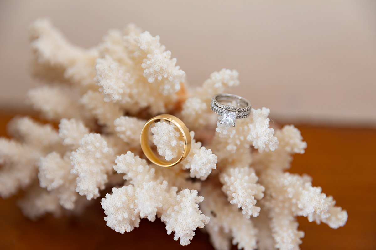 Wedding rings photographed on a white coral still photography