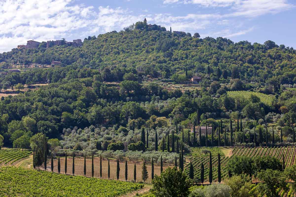 The Montalcino valley and hill with cypress trees and rolling hills 