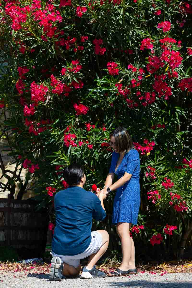 Asking the big question among red flowers 