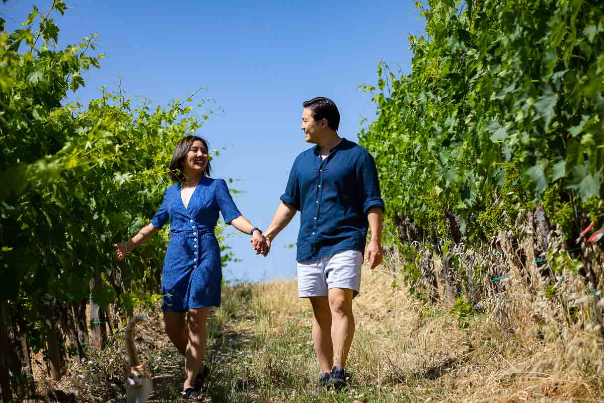 Walking together hand in hand in the vineyard of the winery estate