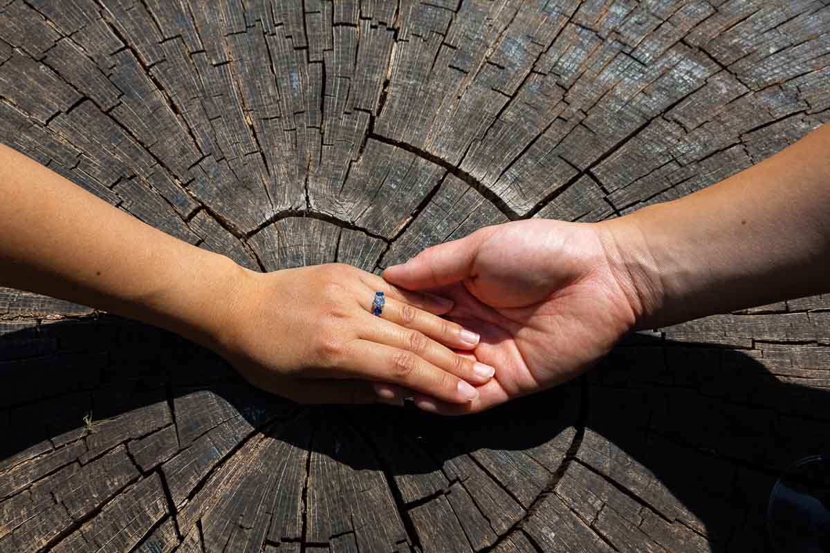 Holding hands close up of the engagement ring photographed over a cut tree log 