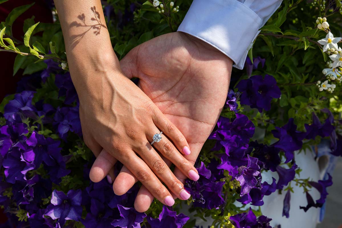 Holding hands together wearing the new engagement ring photographed over beautiful purple flowers