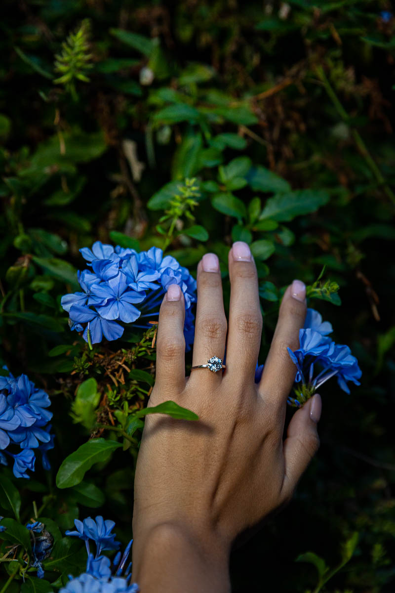 Engagement ring picture close up at night photographed in between blue flowers