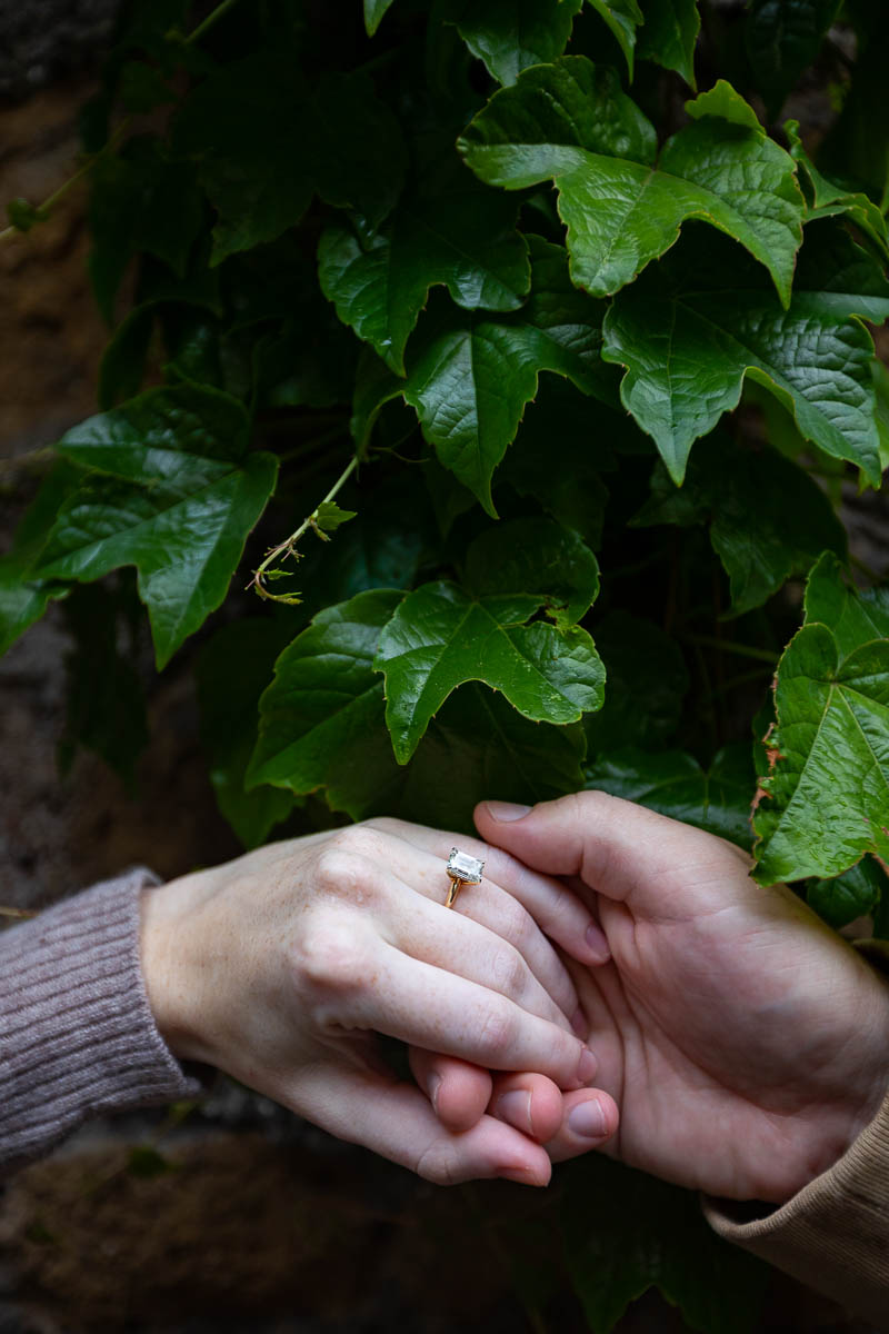 Engagement ring picture taken over green ivy leaves 