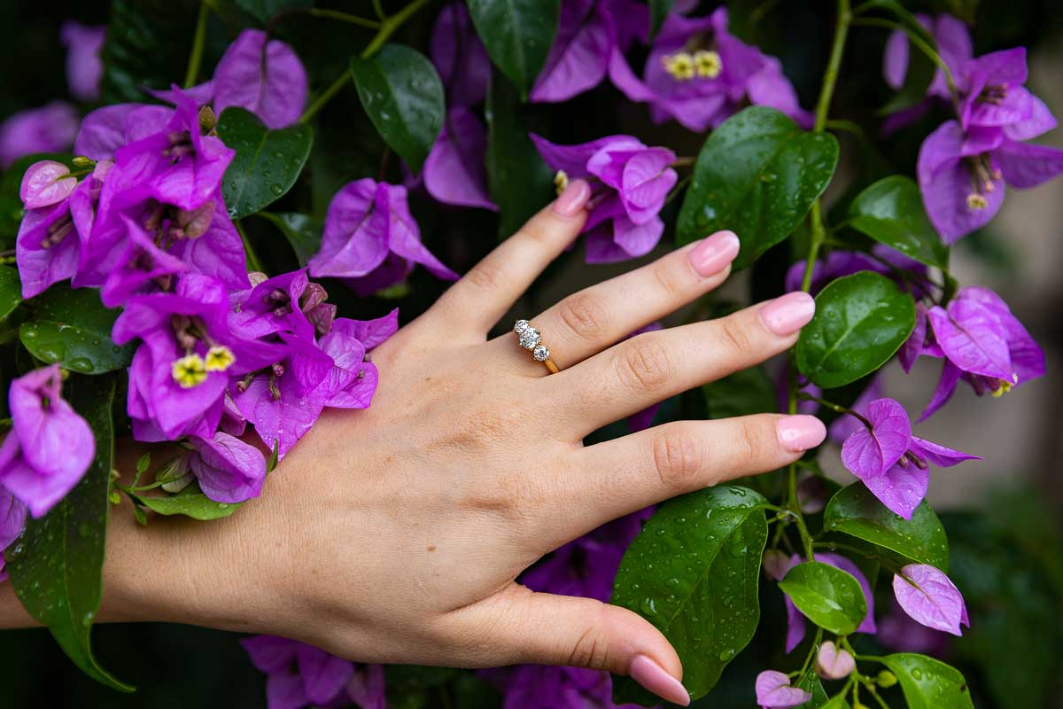 Photo of the engagement ring photographed over bright purple flowers from a bouquenville tree 